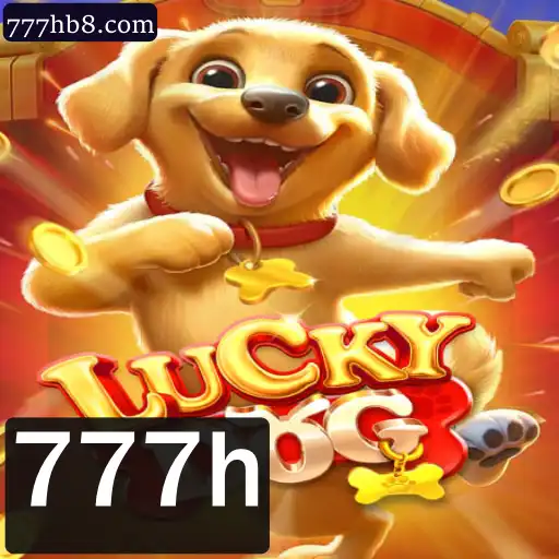 LuckyDog: Descubra o Mundo do Jogo de Azar com 777h
